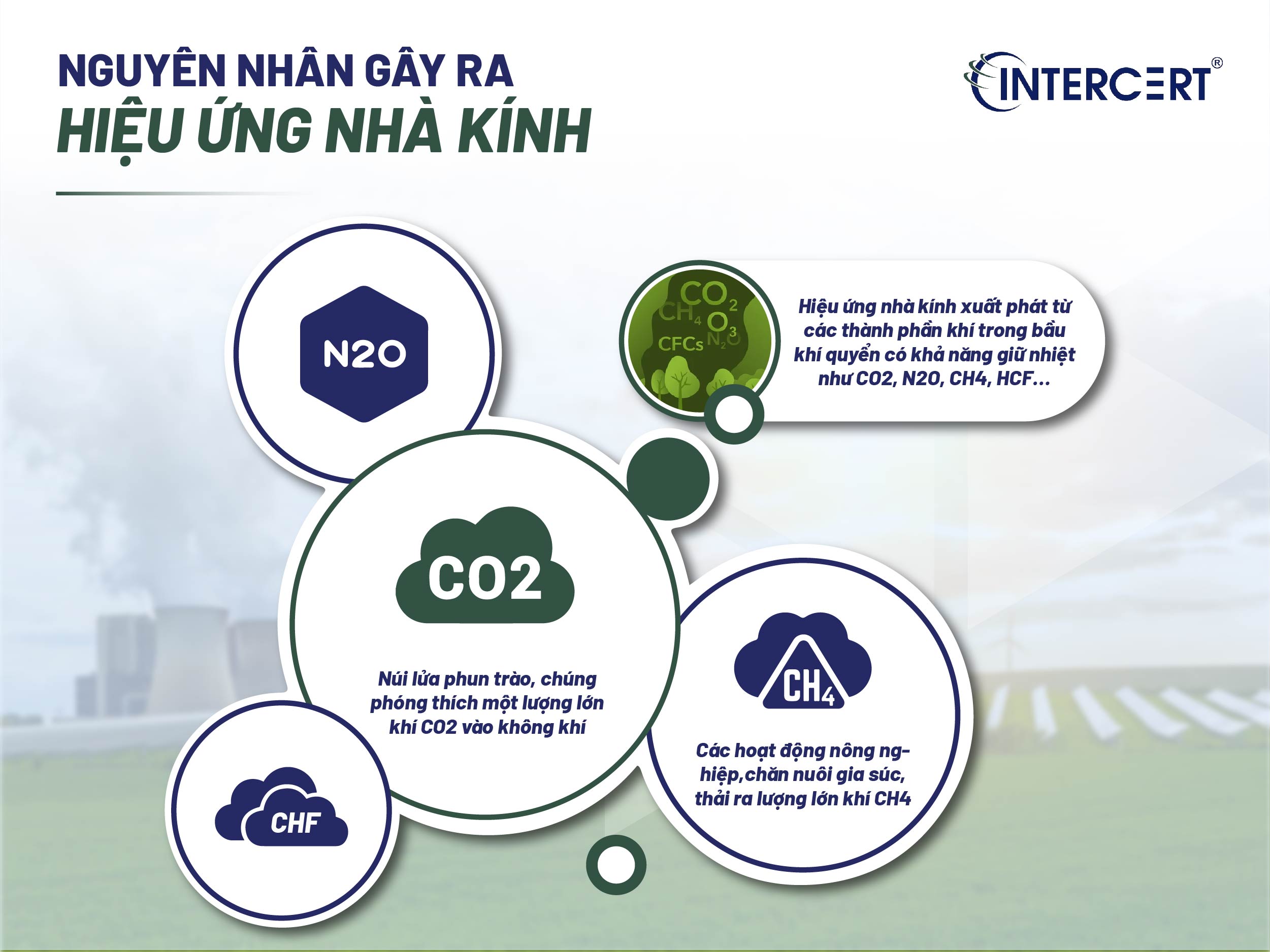 Tìm hiểu về hiệu ứng nhà kính