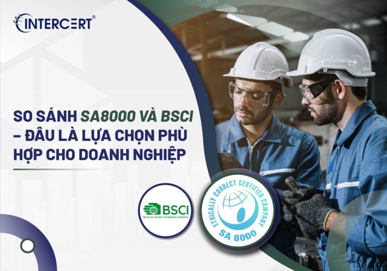 SO SÁNH SA8000 BSCI