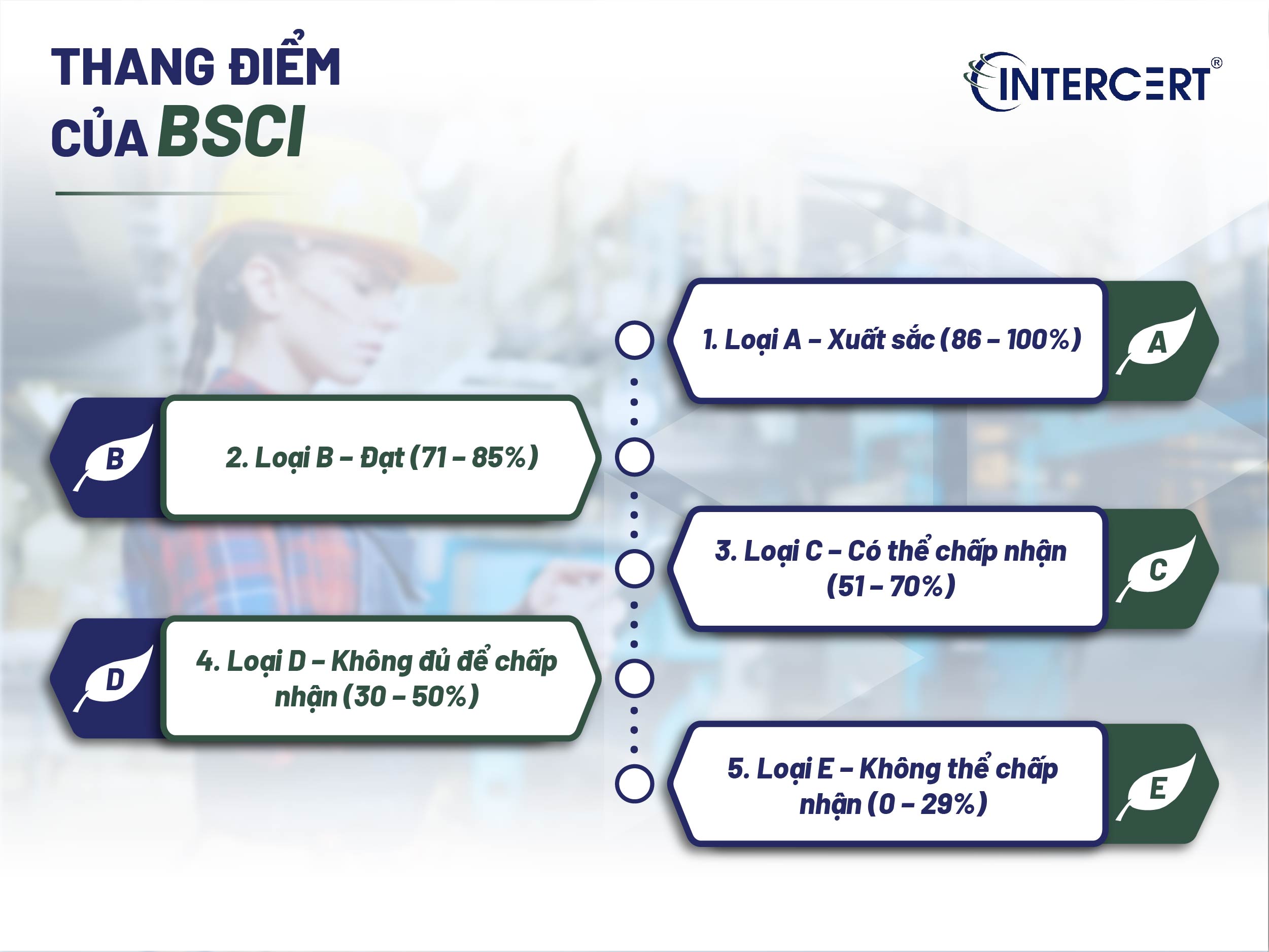 Đạt BSCI thang điểm B khi nào tái đánh giá