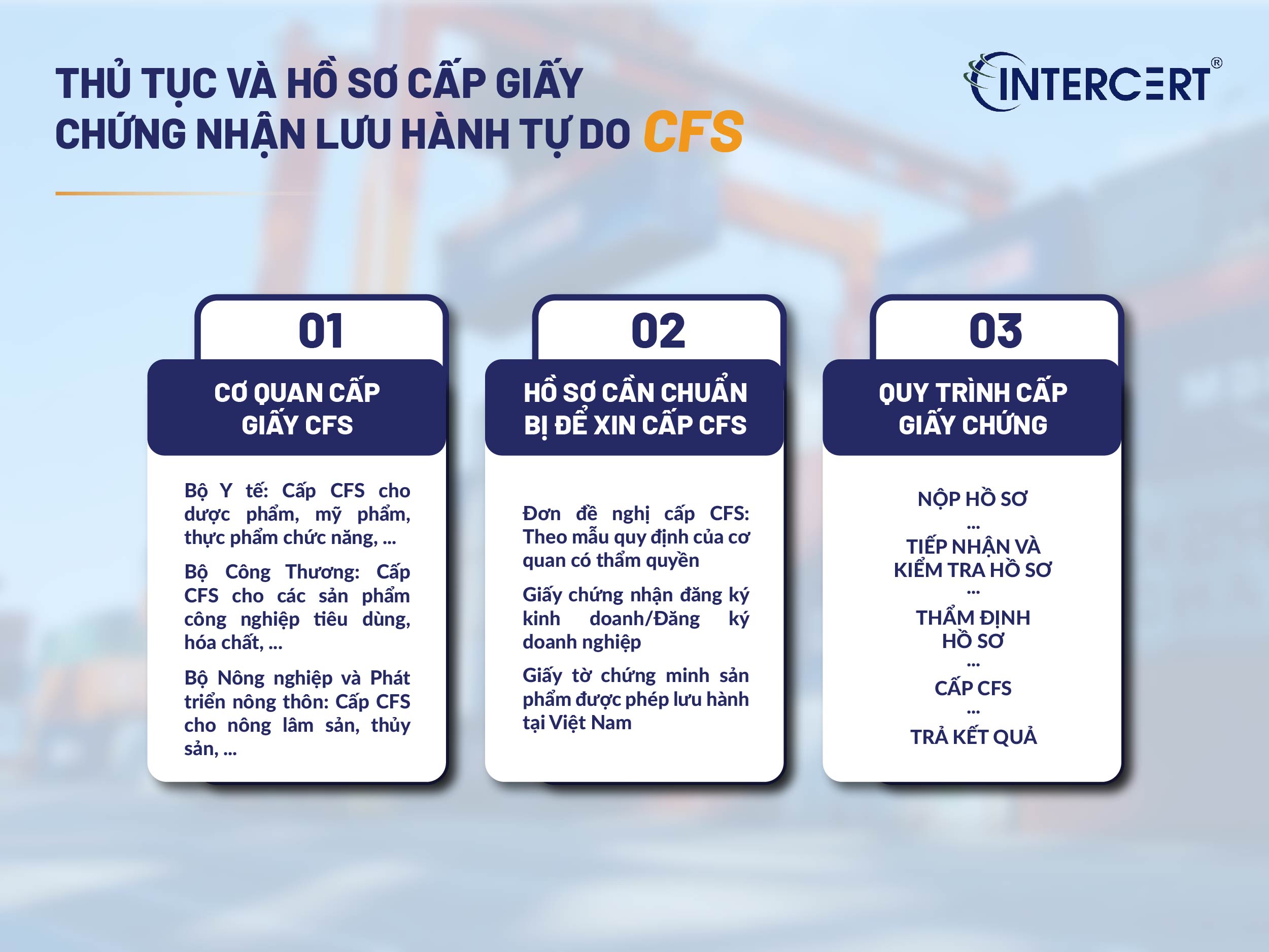 Giấy CFS là gì