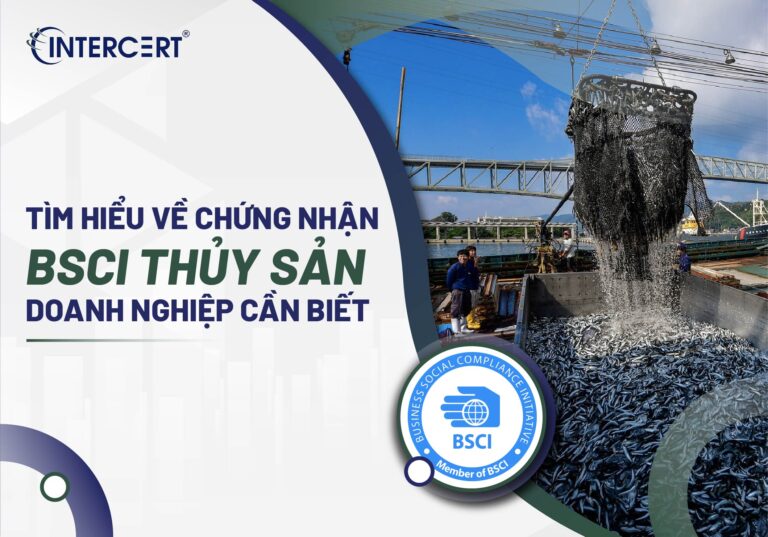 chứng nhận BSCI thủy sản