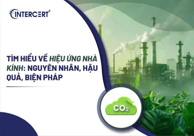 Tìm hiểu về hiệu ứng nhà kính