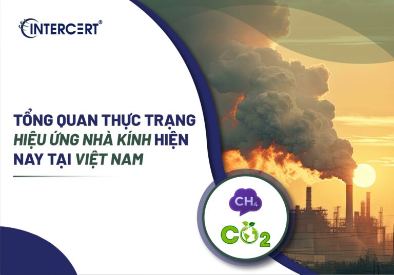 thực trạng hiệu ứng nhà kính
