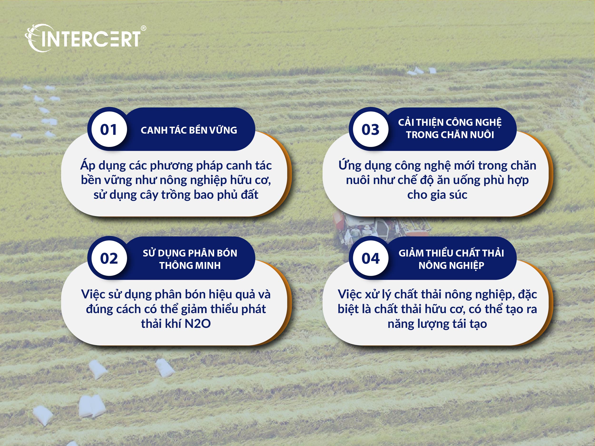 Phát thải khí nhà kính trong nông nghiệp Việt Nam