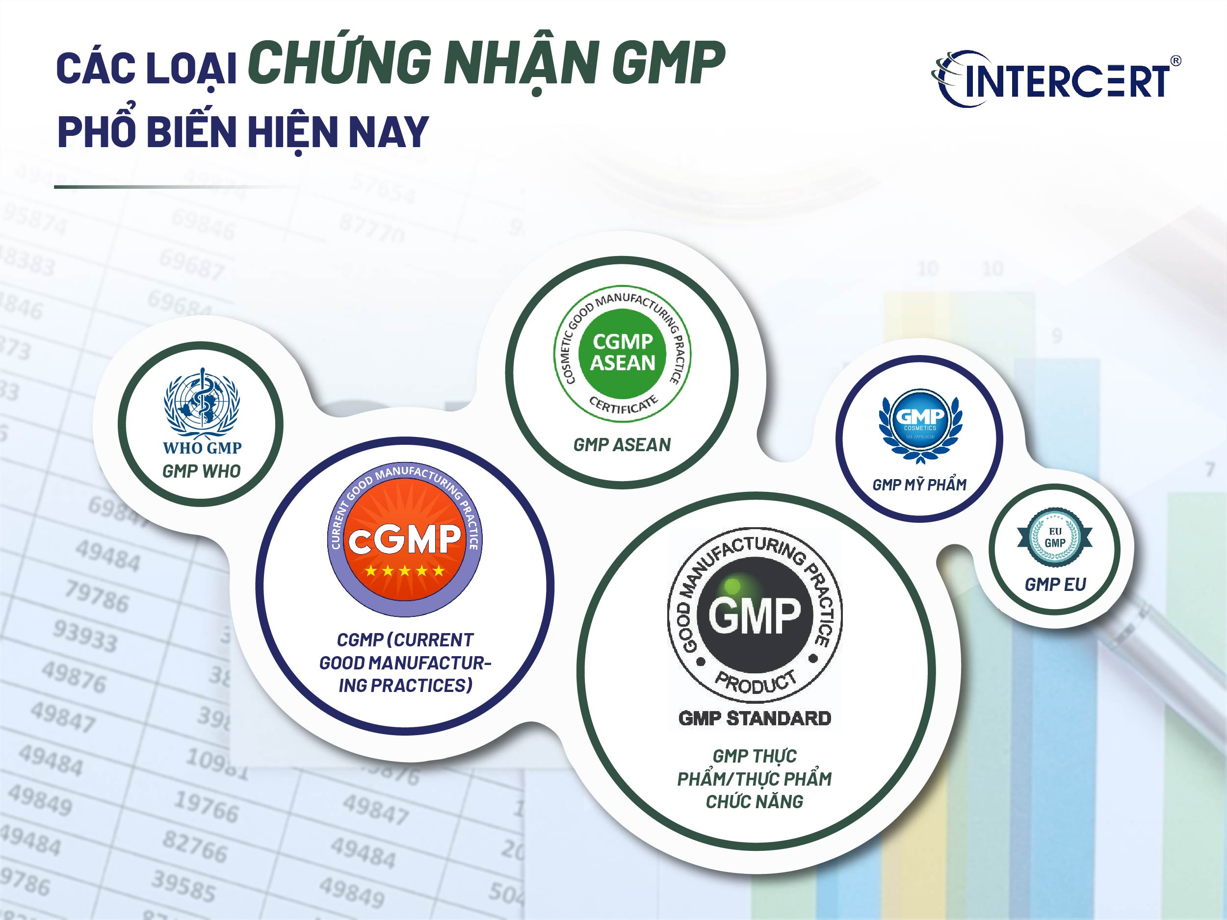 Chứng nhận GMP