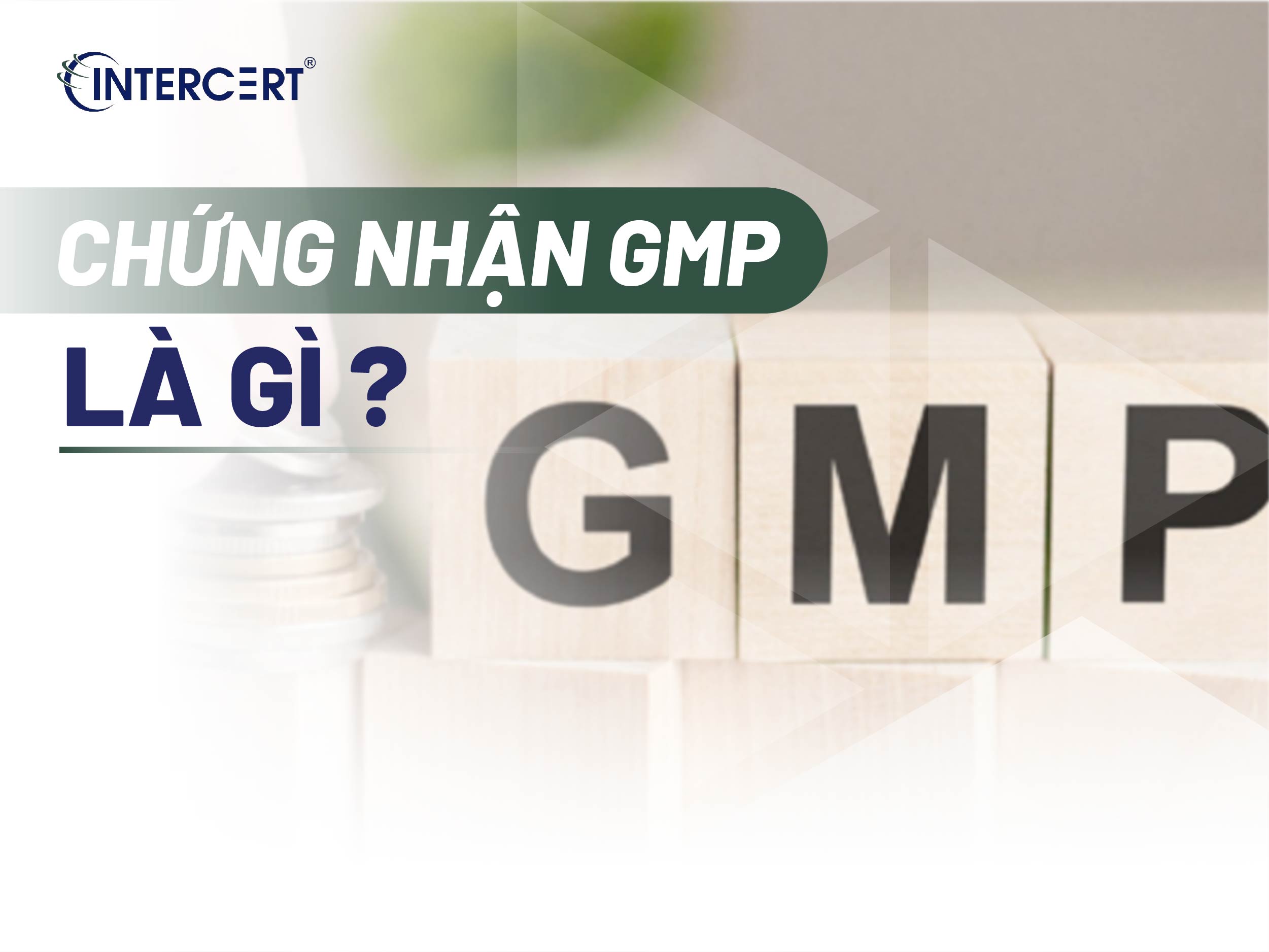Chứng nhận GMP