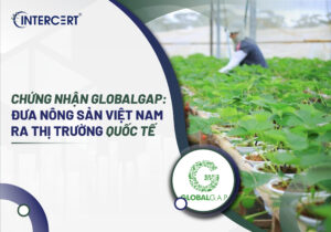 Chứng nhận GlobalGAP