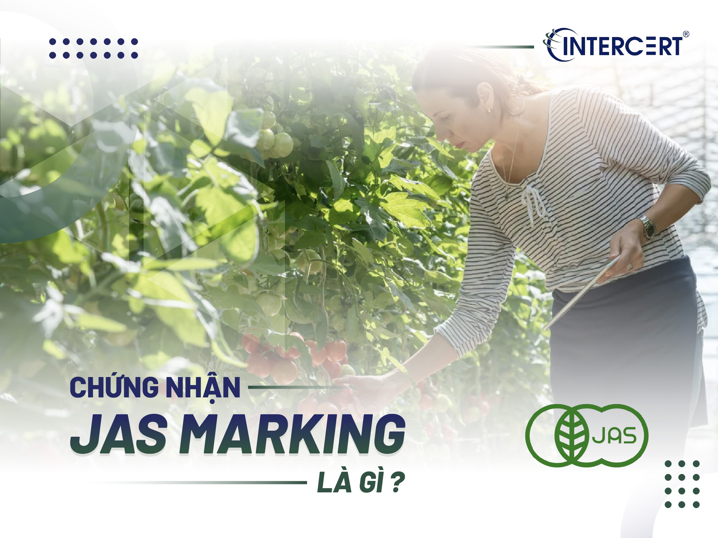 Chứng nhận JAS Marking