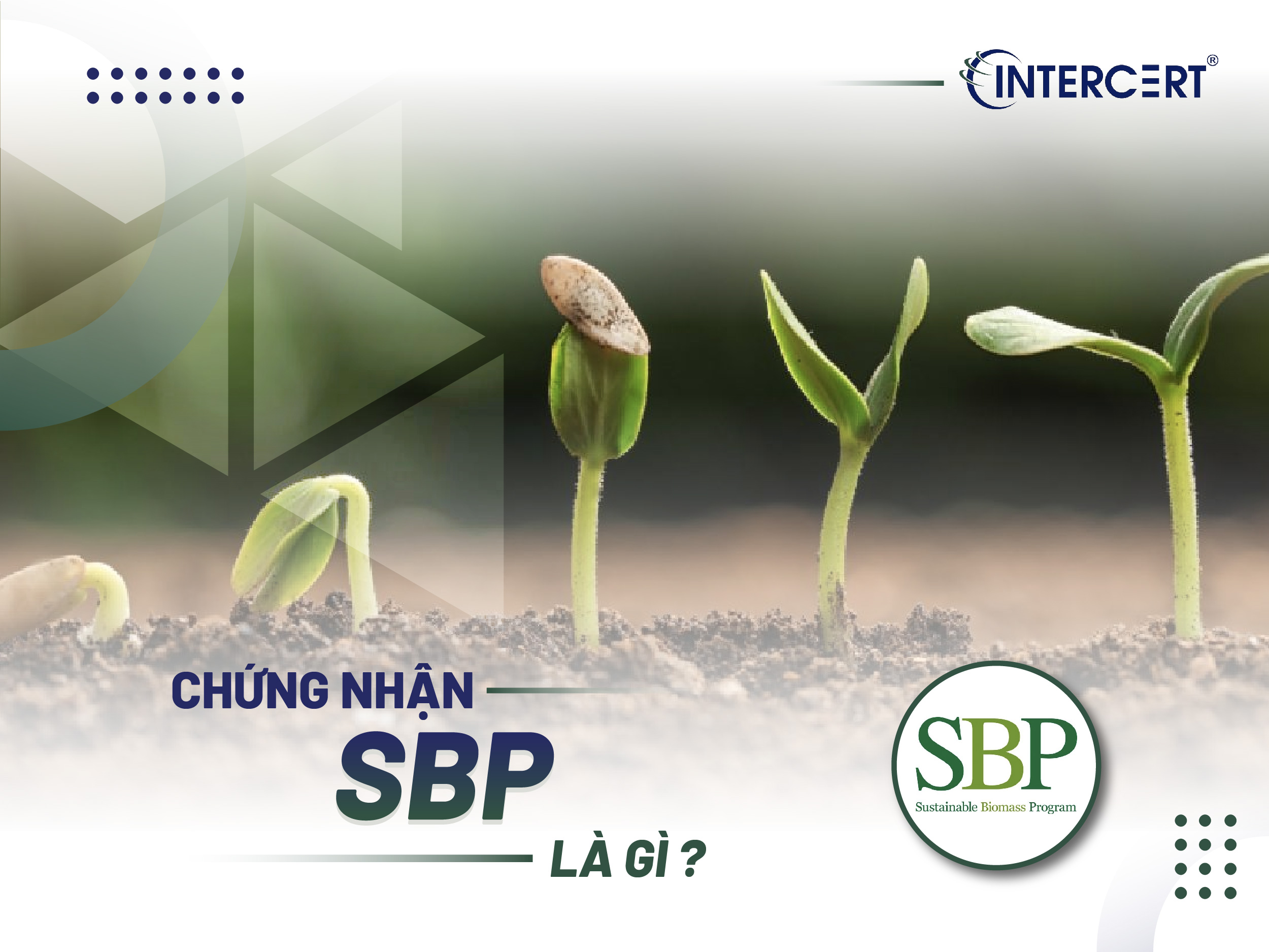 Chứng nhận SBP