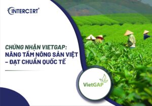 Chứng nhận VietGAP