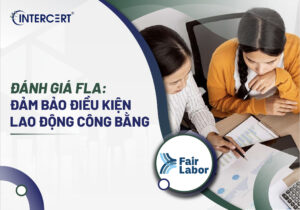 Đánh giá FLA
