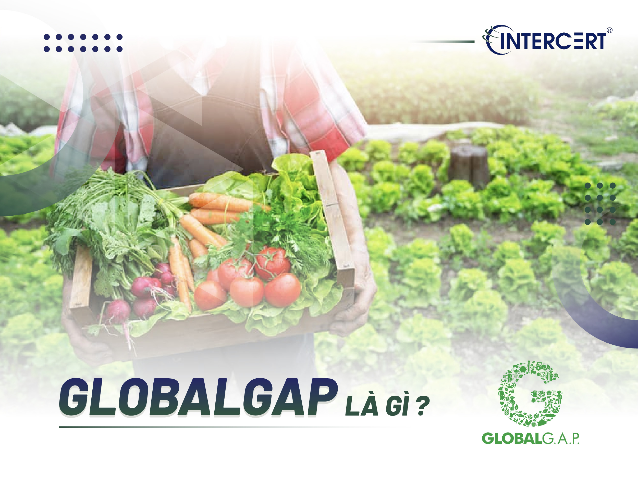 Chứng nhận GlobalGAP