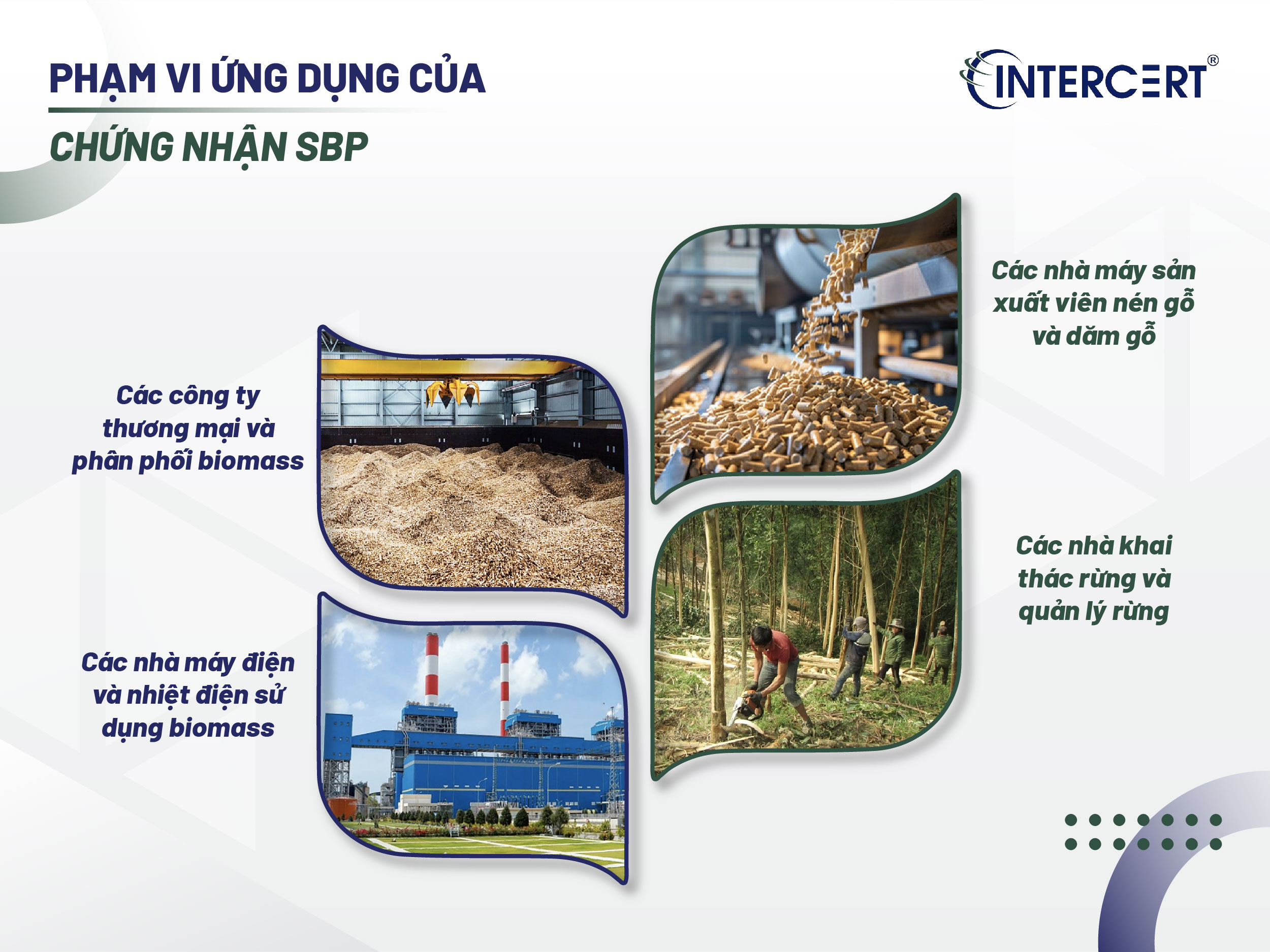 Chứng nhận SBP
