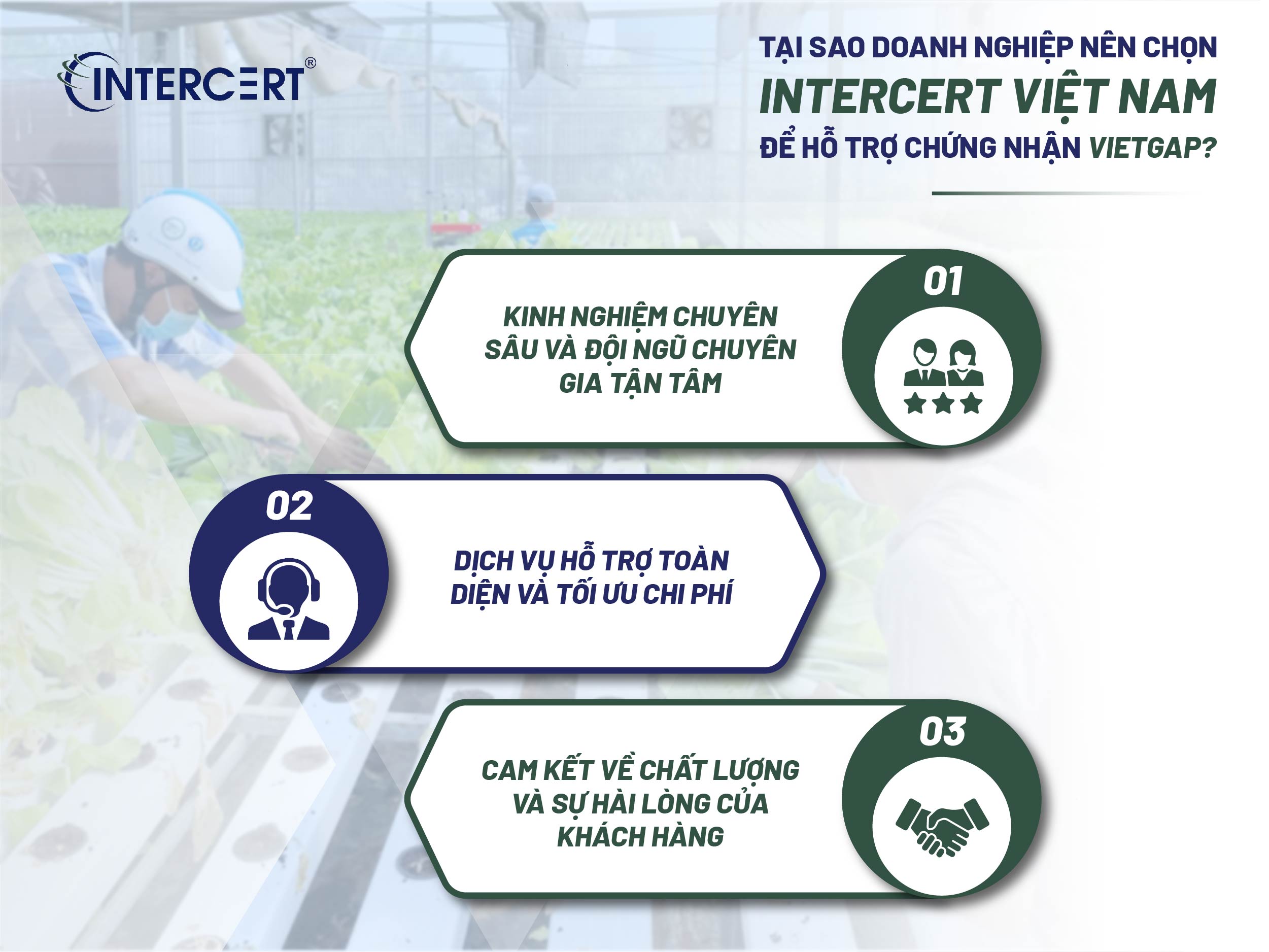 Chứng nhận VietGAP