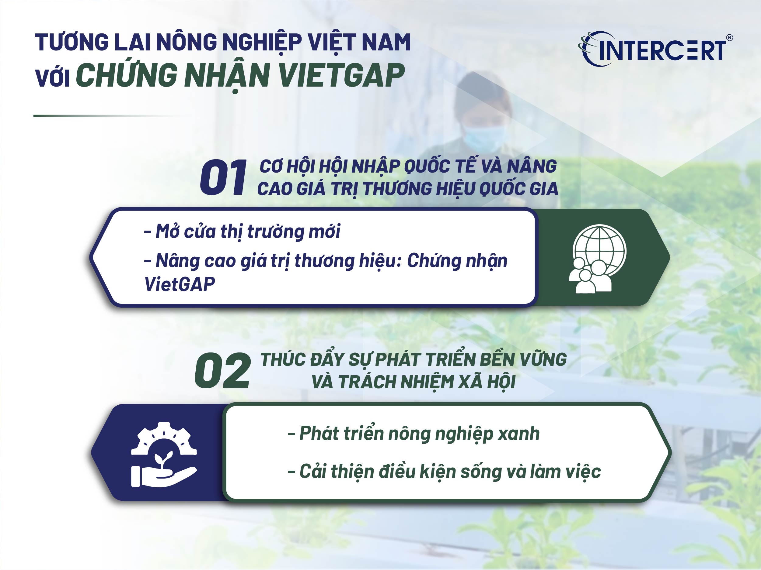 Chứng nhận VietGAP