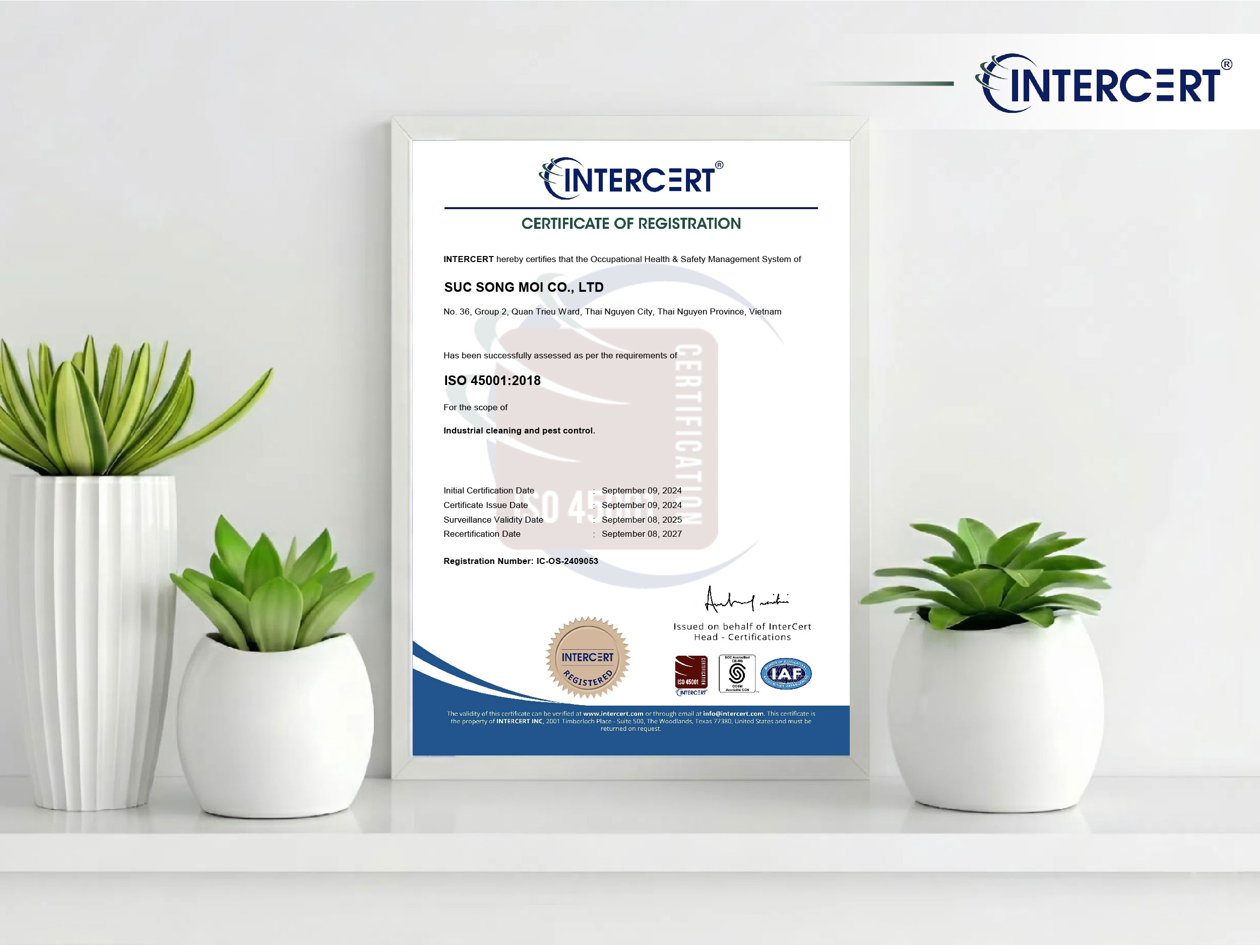 Intercert chứng nhận ISO 45001 cho Công ty TNHH MTV Sức Sống Mới