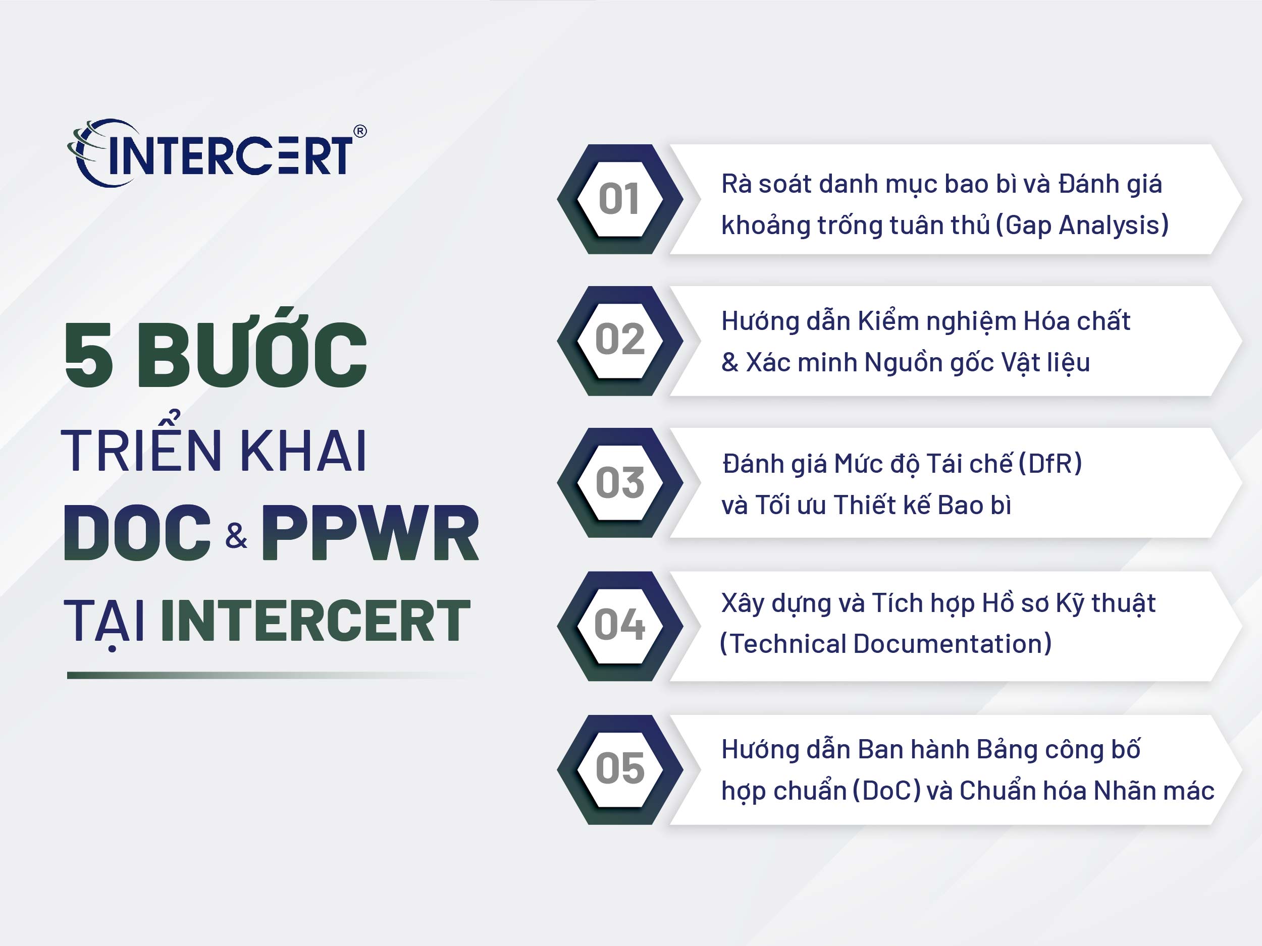 Quy trình 5 bước Tư vấn Doanh nghiệp Khai báo DoC & Tuân thủ PPWR