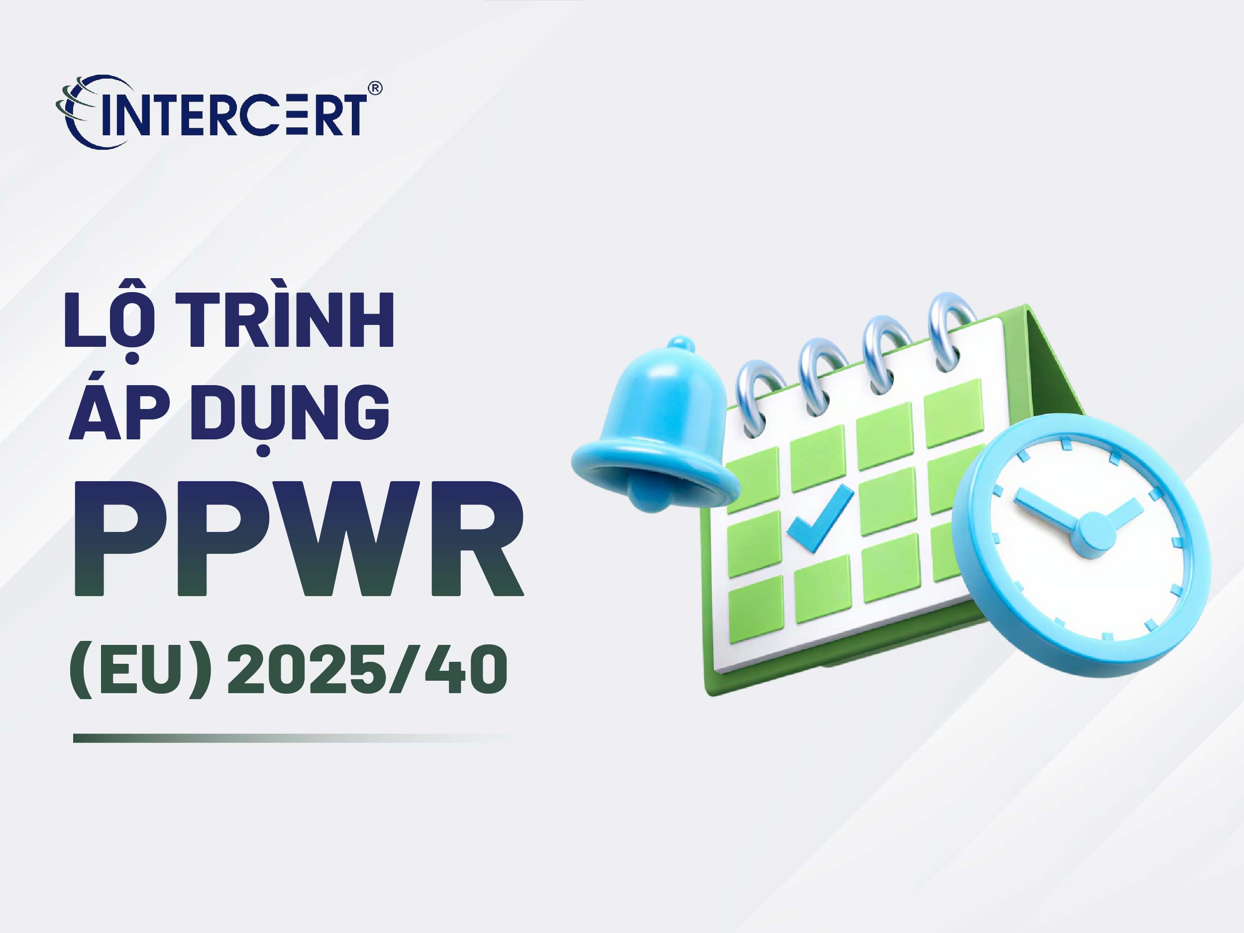 Lộ trình 4 bước chủ động thích ứng với Quy định PPWR cho doanh nghiệp